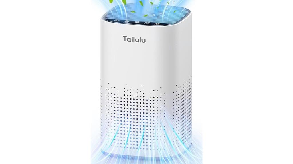 large room hepa purifier