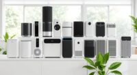 affordable air purifier options