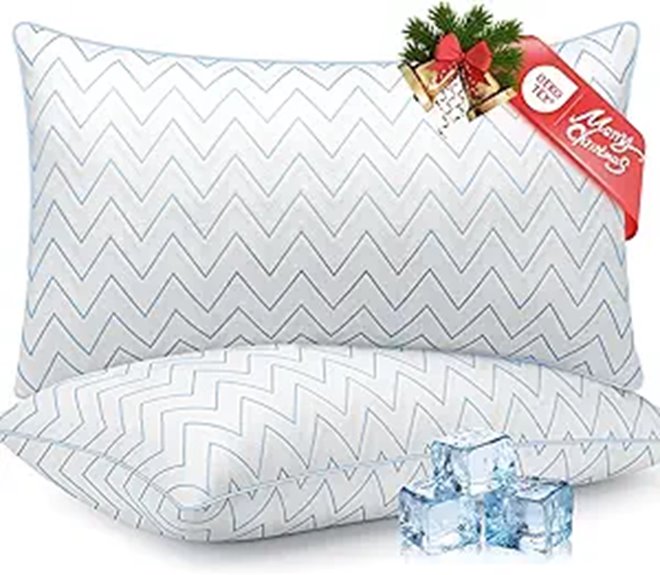 DIORIS Queen Size Cooling Microfiber Pillows (Set of 2)