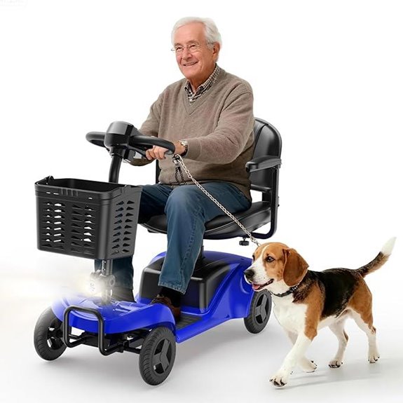 Four-Wheel Foldable Mobility Scooter with LED Lights