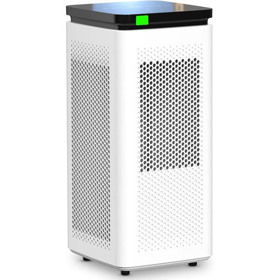 Large Room HEPA Air Purifier with Carbon Filter