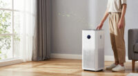 10 Best Air Purifiers for Mold in 2026