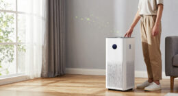 10 Best Air Purifiers for Mold in 2026