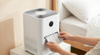 9 Best Air Purifiers for Asthma Sufferers in 2026