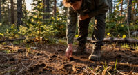 After Two Bear Attacks, Ryan Zinke Now Wants to Strip Grizzly Bear Protections