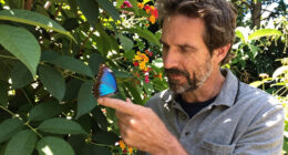 Radiohead’s Ed O’Brien on How Nature Inspired ‘Blue Morpho’ Album and Healed His Mind