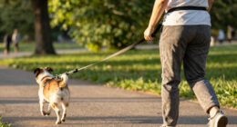 14 Best Hands-Free Dog Leashes in 2026
