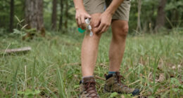 12 Best Tick Repellents in 2026