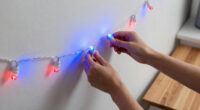 8 Best Blue Patriotic LED String Lights in 2026
