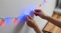 8 Best Blue Patriotic LED String Lights in 2026