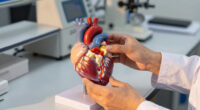 Scientists discover a hidden heart valve risk linked to gum disease