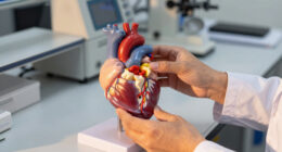 Scientists discover a hidden heart valve risk linked to gum disease